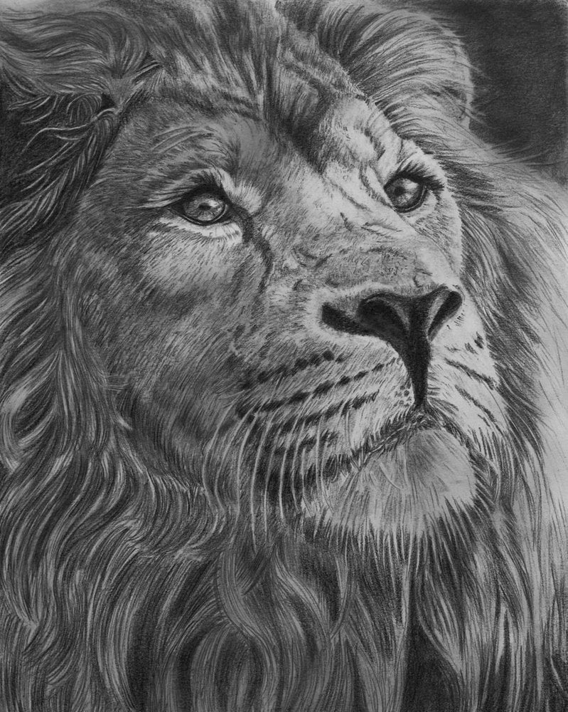 40 Excellent Examples of Pencil Drawing | EntertainmentMesh