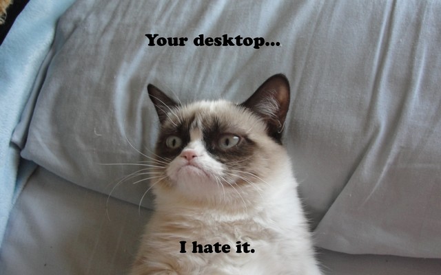 25 funny cat pictures with captions | EntertainmentMesh