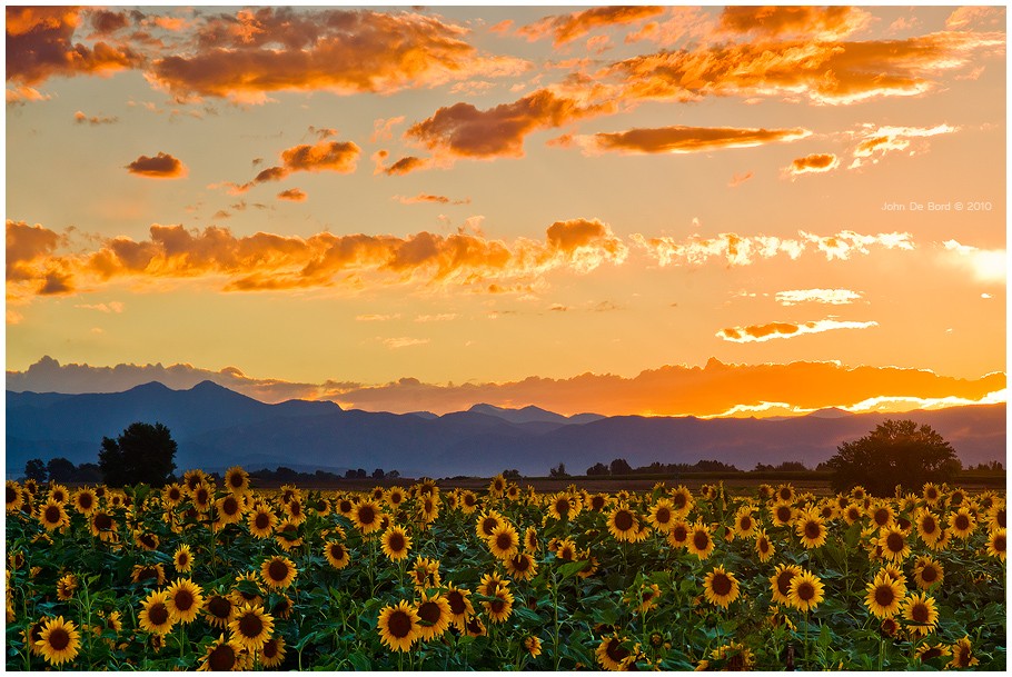 30  cool summer season pictures