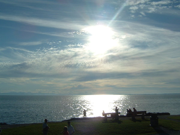 30  cool summer season pictures