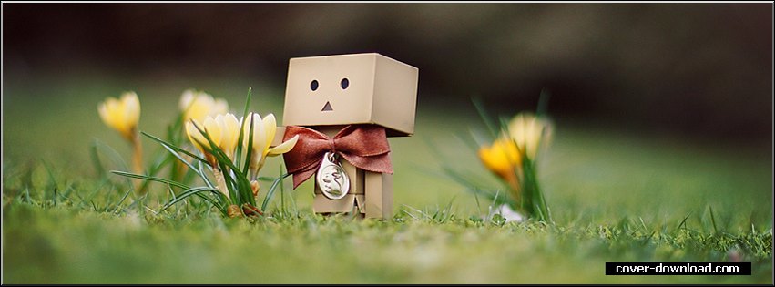 30 Cute And Cool Facebook Cover Photos - EntertainmentMesh