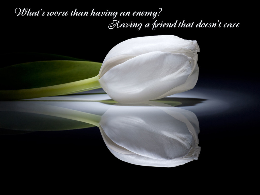 friendship quote pics