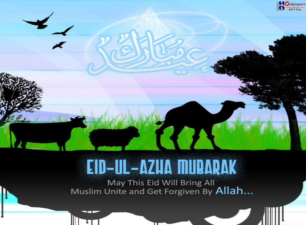 20+ HD Eid Ul Adha Wallpapers, Backgrounds And Pictures 