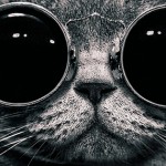 cool cover photos for Facebook tiimeline