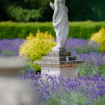 Classic and Elegant Garden