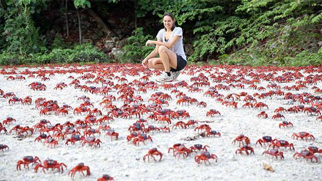 20 Unimaginable Pictures of Natural Phenomena