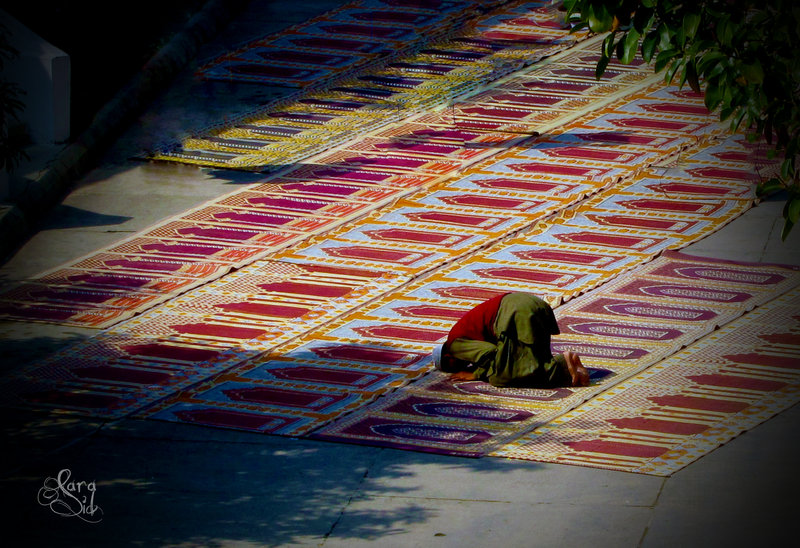Фоновые картинки sajda