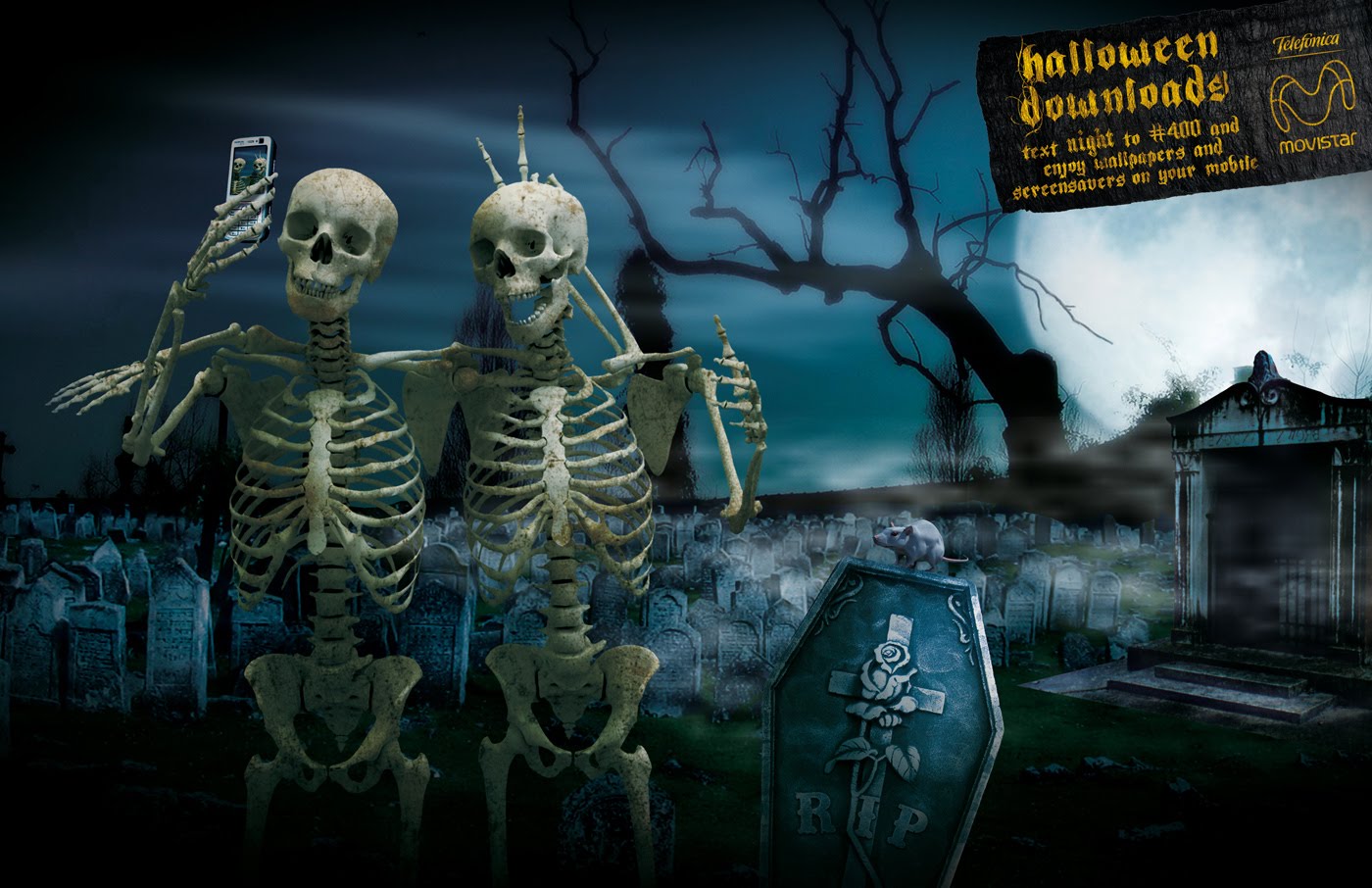 funny-skeletons-Halloween-meme