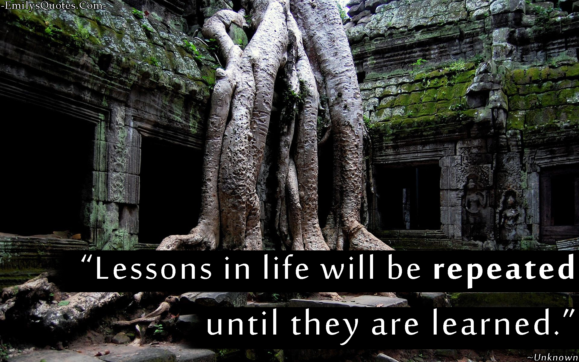 16 Powerful Quotes for Positive Vibes