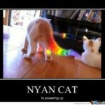 Cute Funny Cat Memes