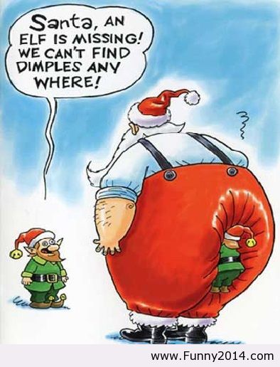 funny Christmas photos