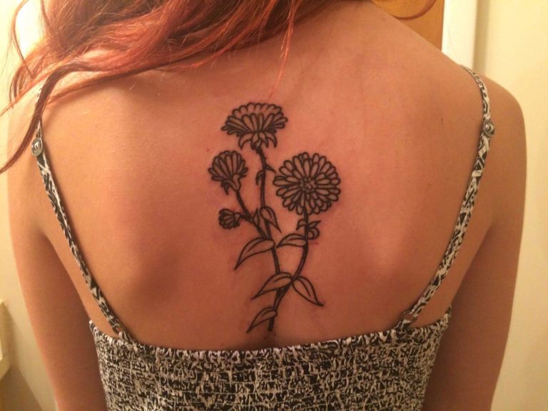 20 Beautiful Aster Flower Tattoo Designs & Pictures EntertainmentMesh