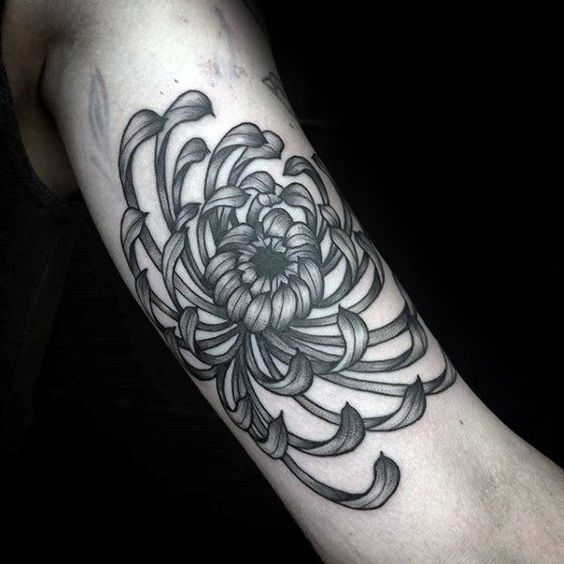 chrysanthemum flower tattoo on bicep for men