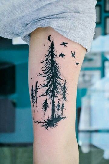 evergreen trees tattoo with birds