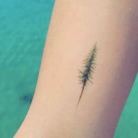 realistic pine tree tattoo pattern