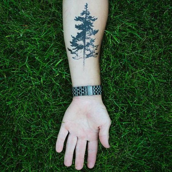 silhouette evergreen tattoo design on forearm