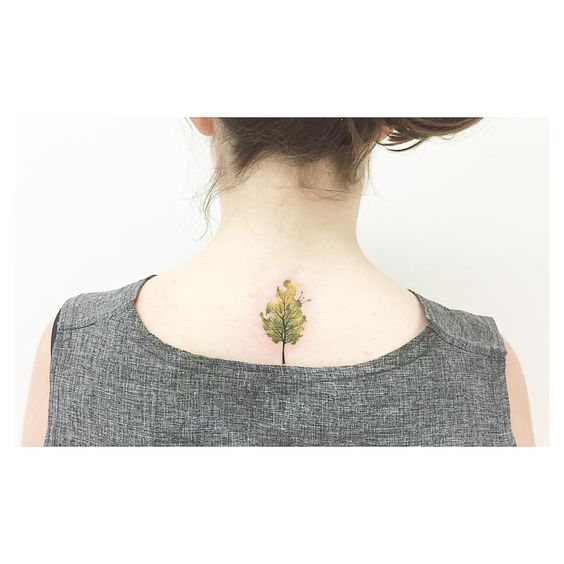 small watercolor evergreen tree tattoo design on back for girls