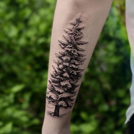 stencil evergreen tattoo design on side forearm