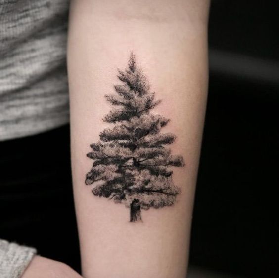 stencil evergreen tree tattoo on forearm