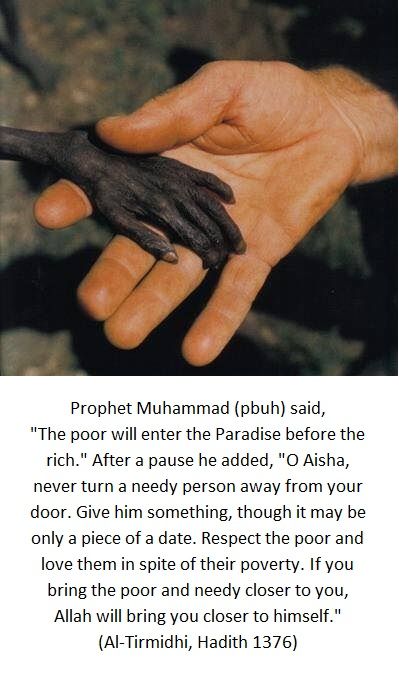 Prophet Muhammad Said