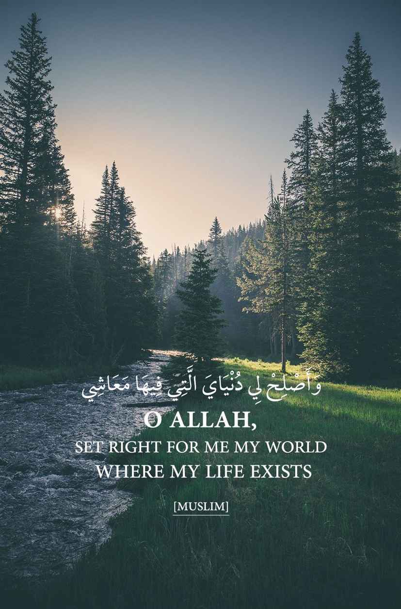 25 Beautiful Islamic Quotes About Life with Images