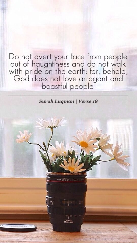 Quran quotes from Surah Luqman