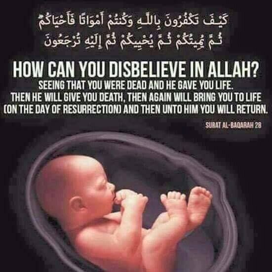 Quran Surah about life