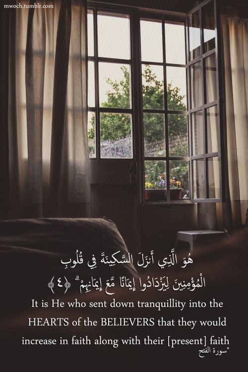 Quran Surah Fatah