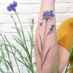 cornflower tattoo designs