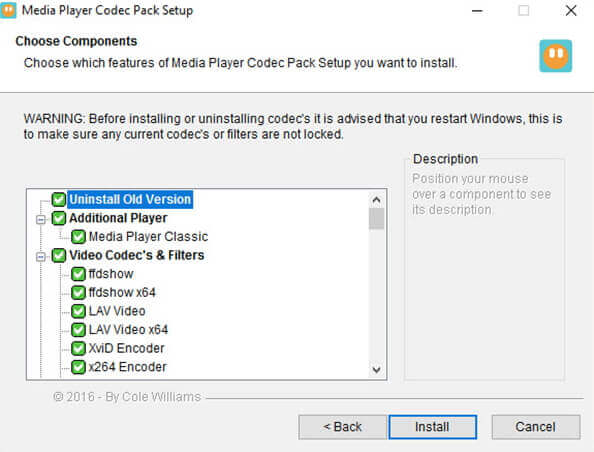 media player codec