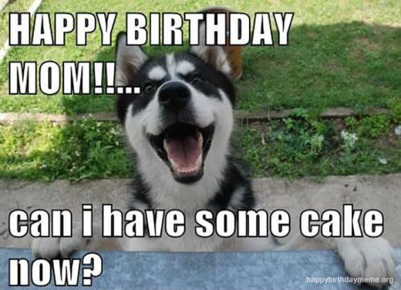can i have some cake happy birthday mom meme