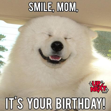 cute happy birthday mom meme
