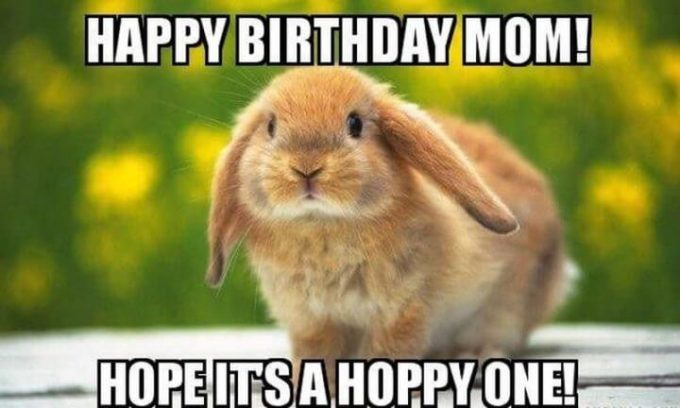 hoppy birthday mom meme