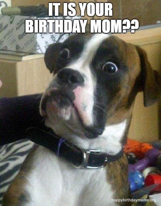 is it your birthday meme for mom