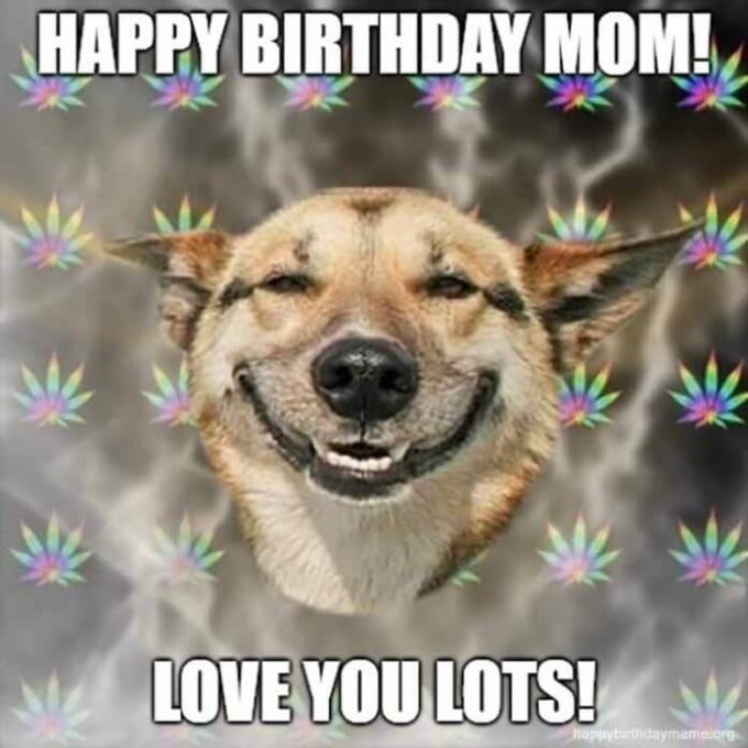 love you lots happy birthday mom meme