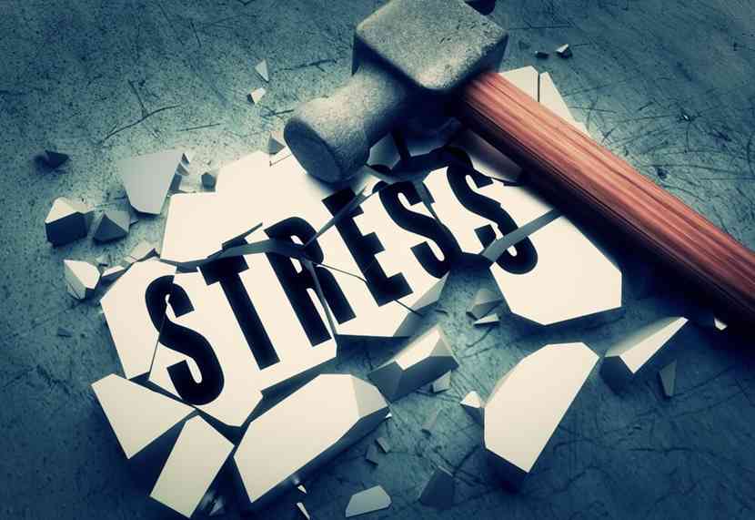 stress free life