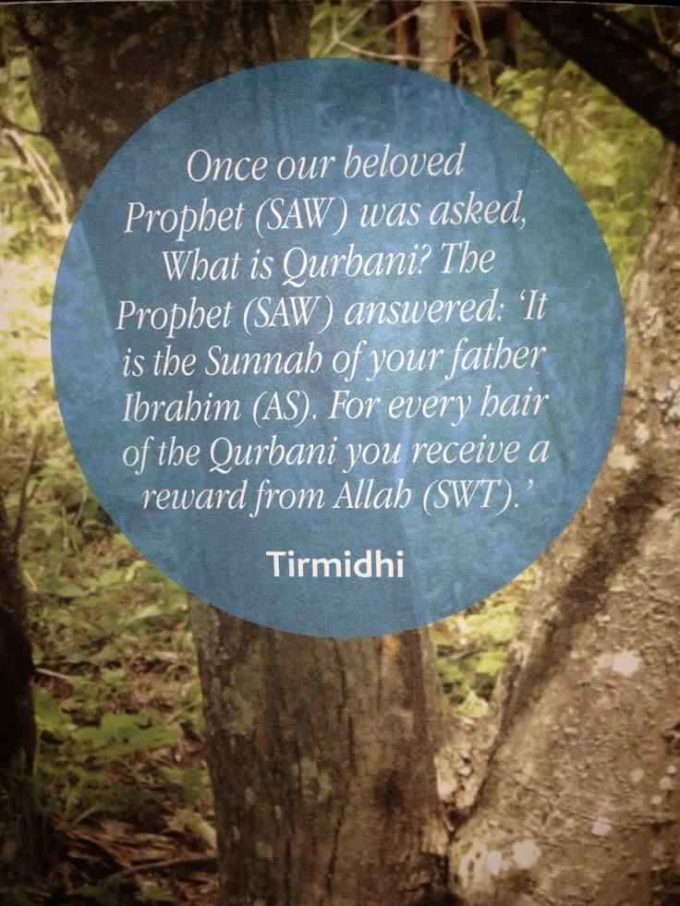 eid ul adha islamic quote