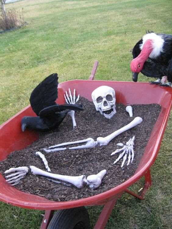 halloween skeleton decoration idea for garden