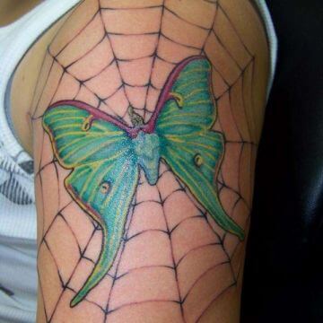 butterfly spider web tattoo design on shoulder