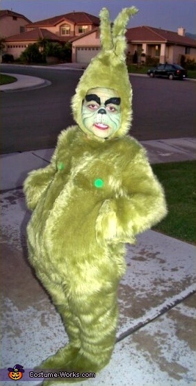 The Grinch costume idea for halloween