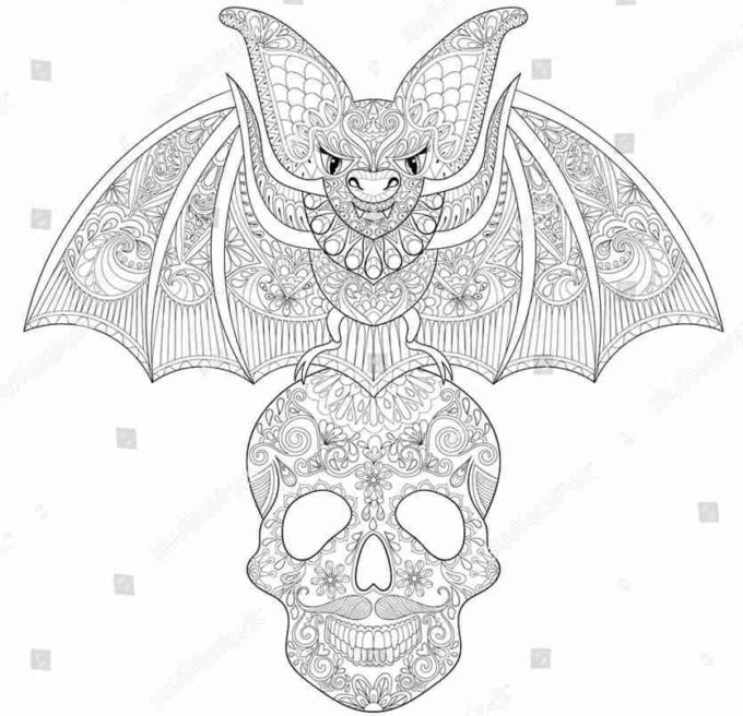 bat on skull coloring picture
