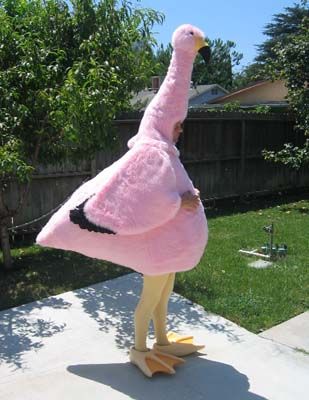 flamingo bird halloween costume idea