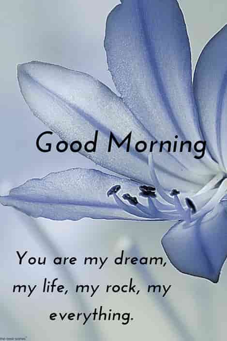 good morning message-msg images