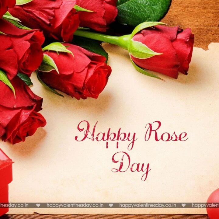 happy rose day love images